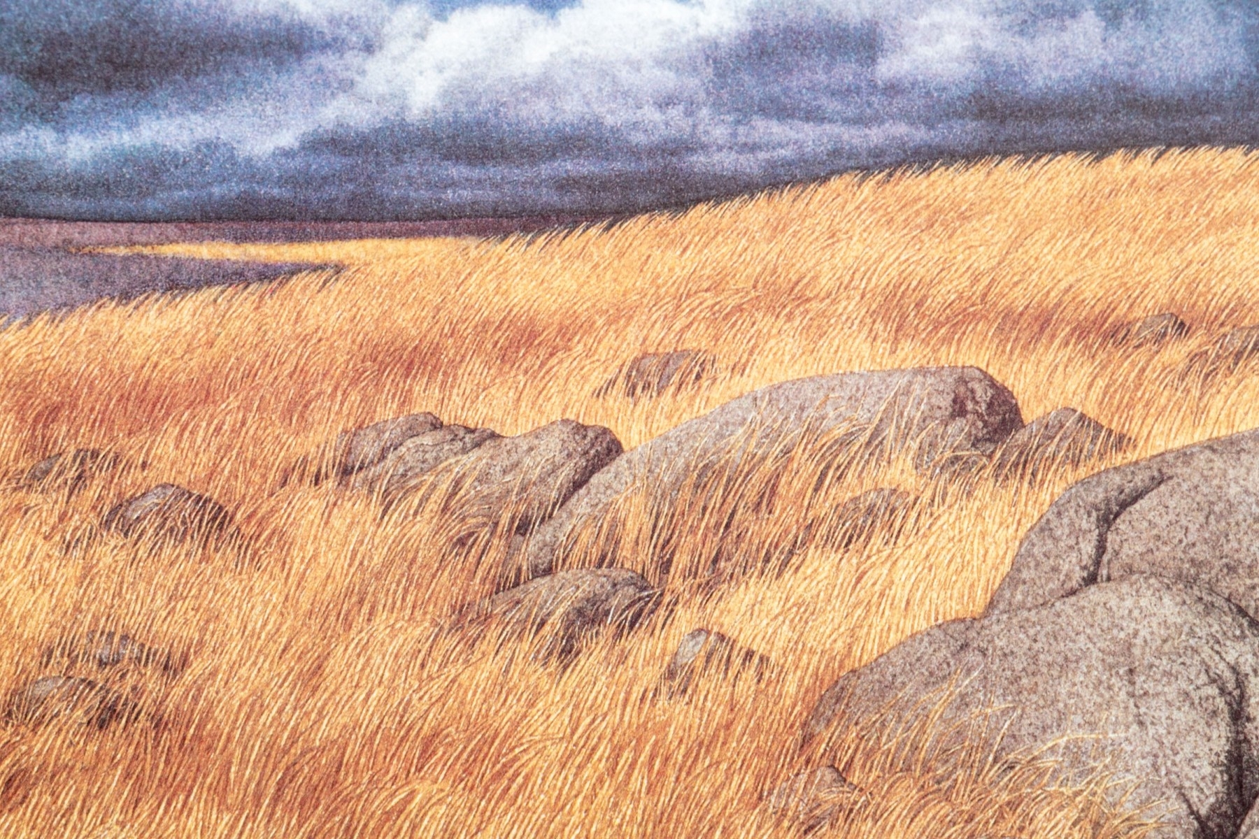 Artwork by Bev Doolittle, Calling the Buffalo., Made of lithograph
