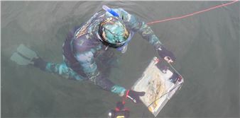 Snorkelling Artists Showcase Scotland’s Diverse Marine Life in Thought-Provoking Exhibition