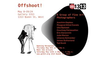 Offshoot! - Gallery 1313