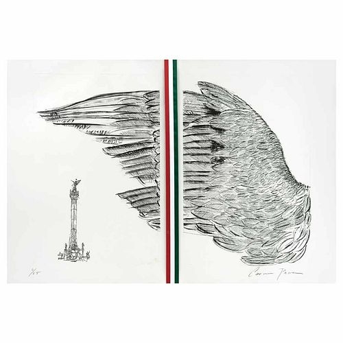 El ala del Águila de la Independencia - Carmen Parra