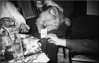 Libuše Jarcovjáková: Parties - BWA Warszawa