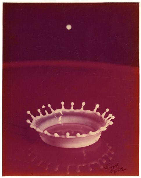 Milk Drop Coronet, 1957 - Harold Eugene Edgerton