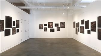Linda Connor: Earth And Sky - Haines Gallery
