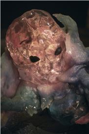 Top 5 Exhibitions to See During The Venice Biennale.