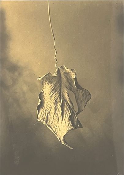 Býk by Oldřich Jelínek, 2003