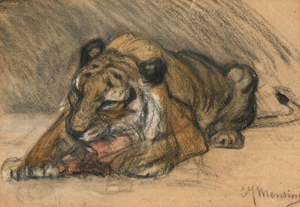 Tiger - Cornelis Jan Mension