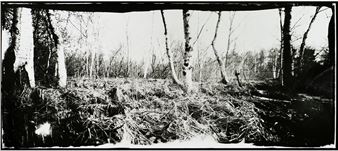 Rownak Bose: Gathering Light - Galerie Stephan Witschi