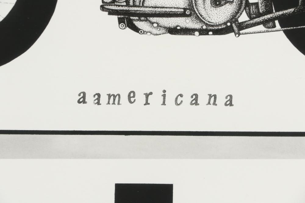 Artwork by Alex Ziv, Americana, 2012, Made of pen and ink on paper