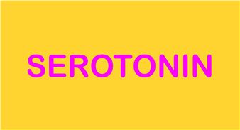 Serotonin - Backslash Gallery (rue Notre Dame de Nazareth)