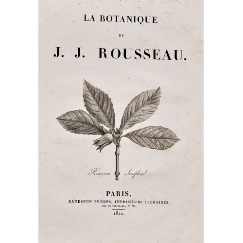 La Botanique - Pierre-Joseph Redoute