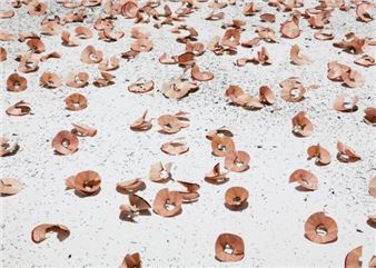 Artist’s Rooms: Taysir Batniji: Hannoun - Jameel Arts Centre