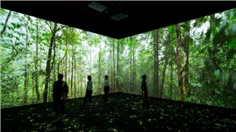 Earth: An Immersive Journey - Royal Ontario Museum (ROM)