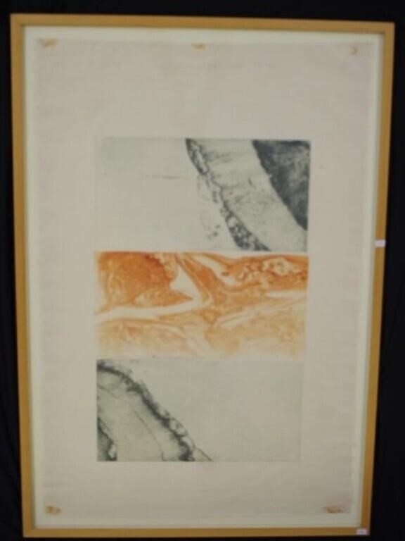 Artwork by Heather Burness, Themes from Tides and Tides, Made of intaglio print