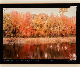 The Sudbury River, Ashland, Massachusetts - Frank Gohlke