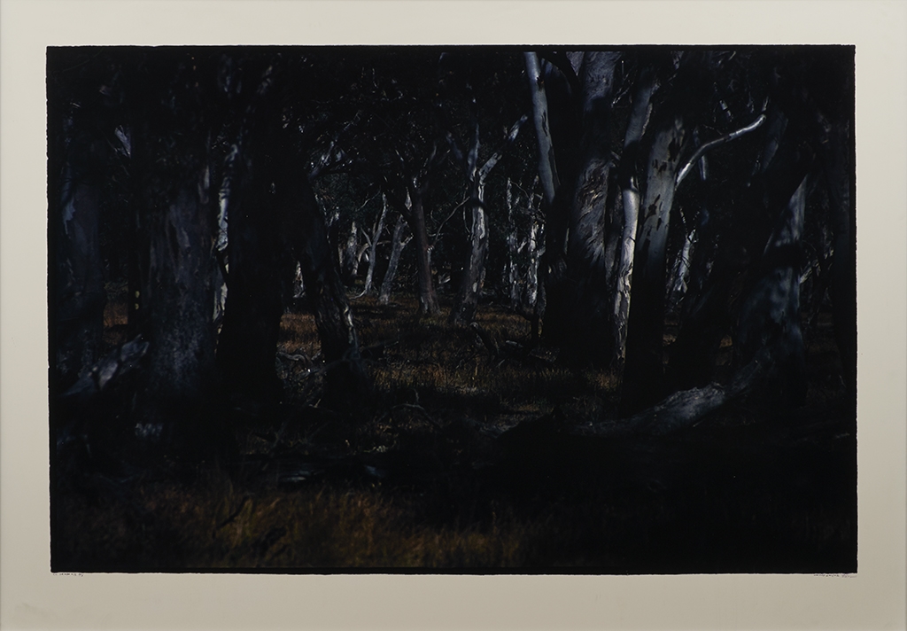 Bill Henson | Untitled 2001-2002 (2001 - 2002) | MutualArt