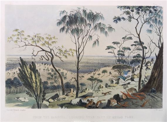 George French Angas | GEORGE FRENCH ANGAS | MutualArt