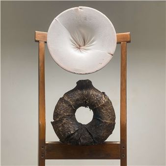  Molly Blumberg & Vince Phan: Garden Of Liminal Bodies - Chicago Artists Coalition Gallery