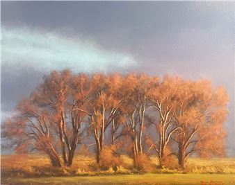 Bruce Brainard: Illuminations - David Lusk Gallery, Memphis
