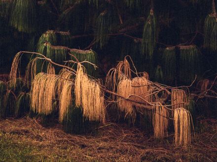 The World Without Us - Ffotogallery, Cardiff (Castle St)