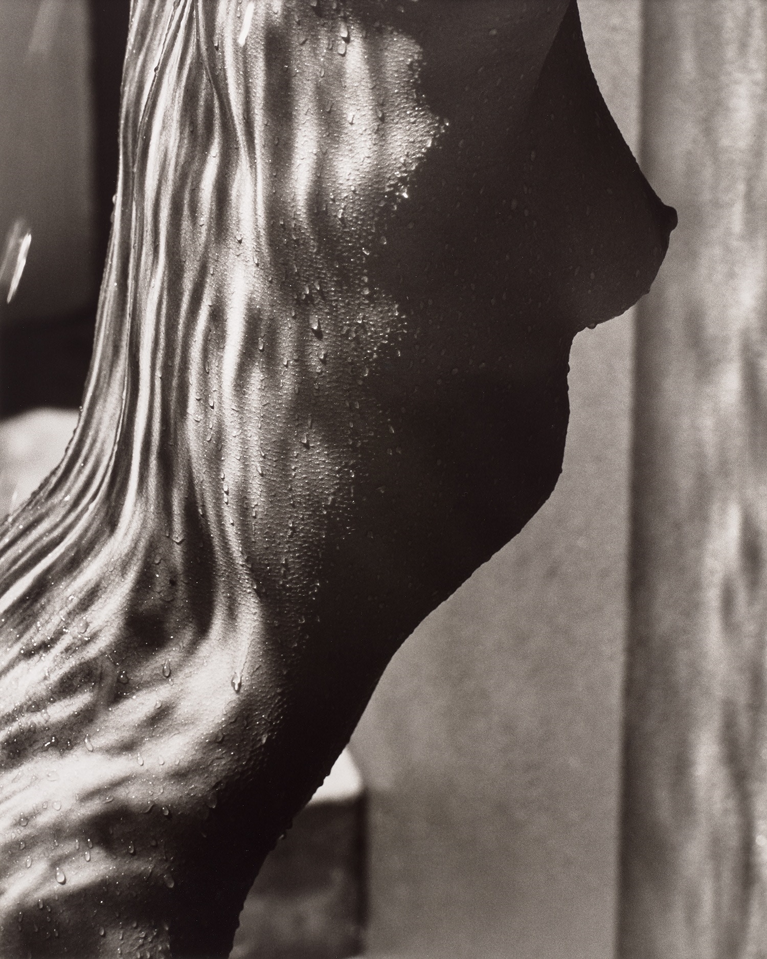 Female Torso Detail, Hollywood by Herb Ritts, 1989