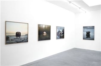 Ellen Kooi: Finity - Torch Gallery
