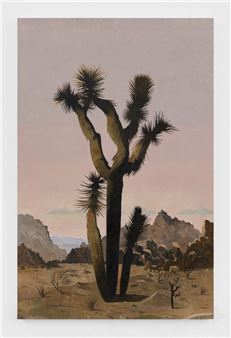 Aaron Zulpo: California Deserts - 1969 Gallery