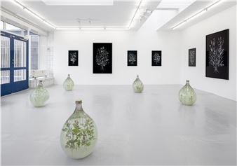 Rune Bosse: Skyggeplanter - Gether Contemporary