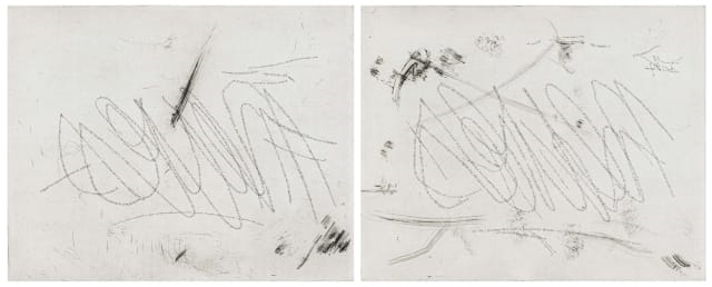 Artwork by Willem Boshoff, Neves I and Neves II, two, Made of etching on paper