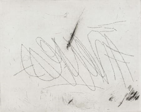 Artwork by Willem Boshoff, Neves I and Neves II, two, Made of etching on paper