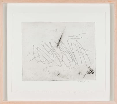 Artwork by Willem Boshoff, Neves I and Neves II, two, Made of etching on paper