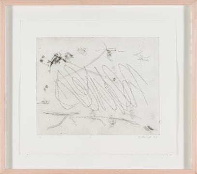 Artwork by Willem Boshoff, Neves I and Neves II, two, Made of etching on paper