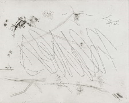 Artwork by Willem Boshoff, Neves I and Neves II, two, Made of etching on paper