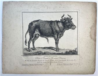 Original etching by Claude Fessard - Claude Fessard