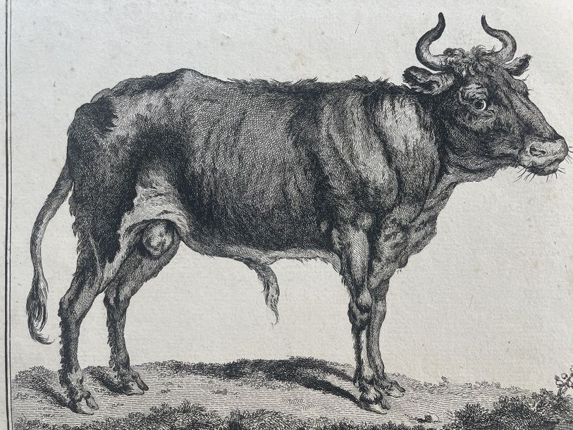 Artwork by Claude Fessard, Original etching by Claude Fessard, Made of Original etching