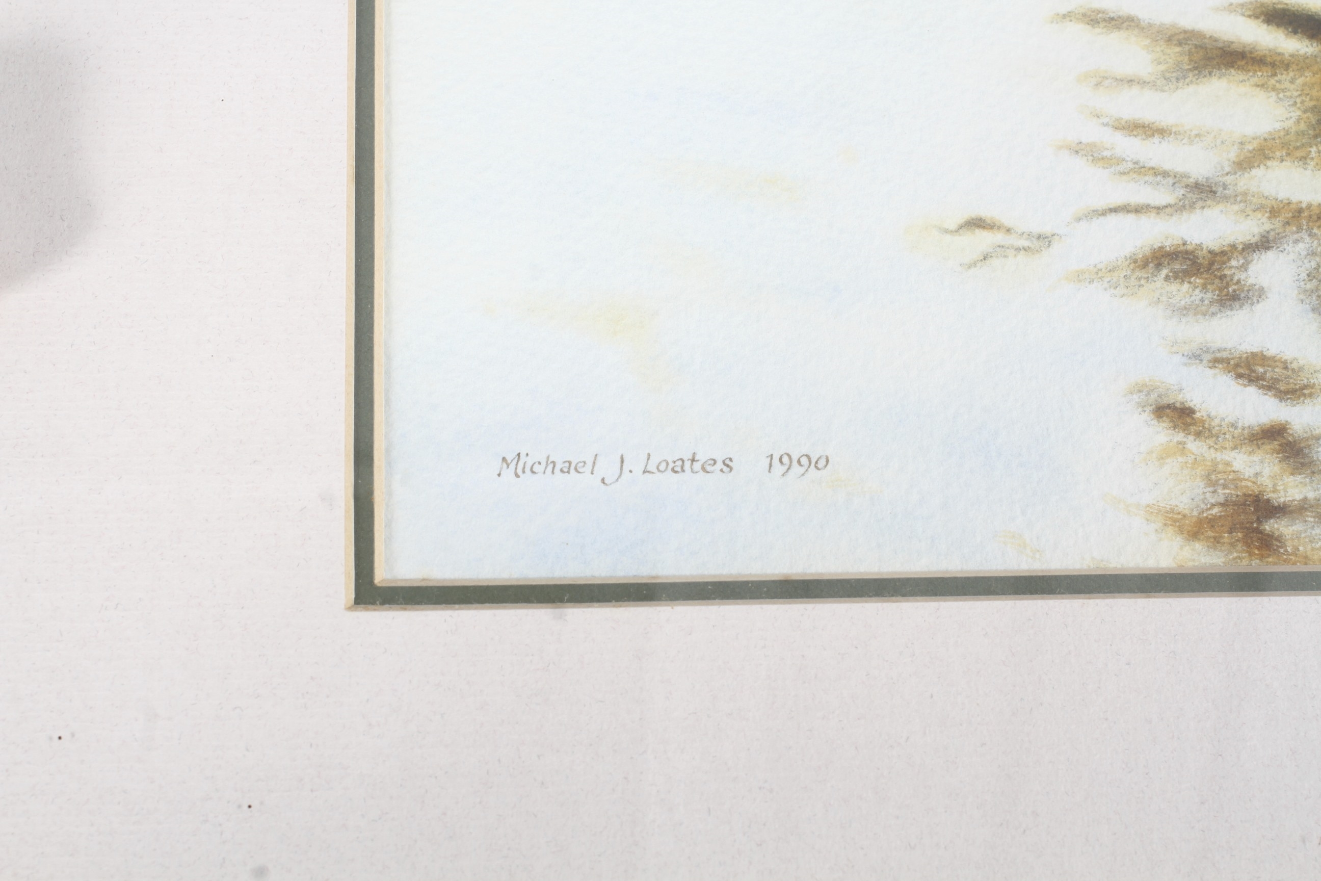 Artwork by Michael J. Loates, Brown Trout swimming in a chalk stream/river., Made of watercolour, Brown