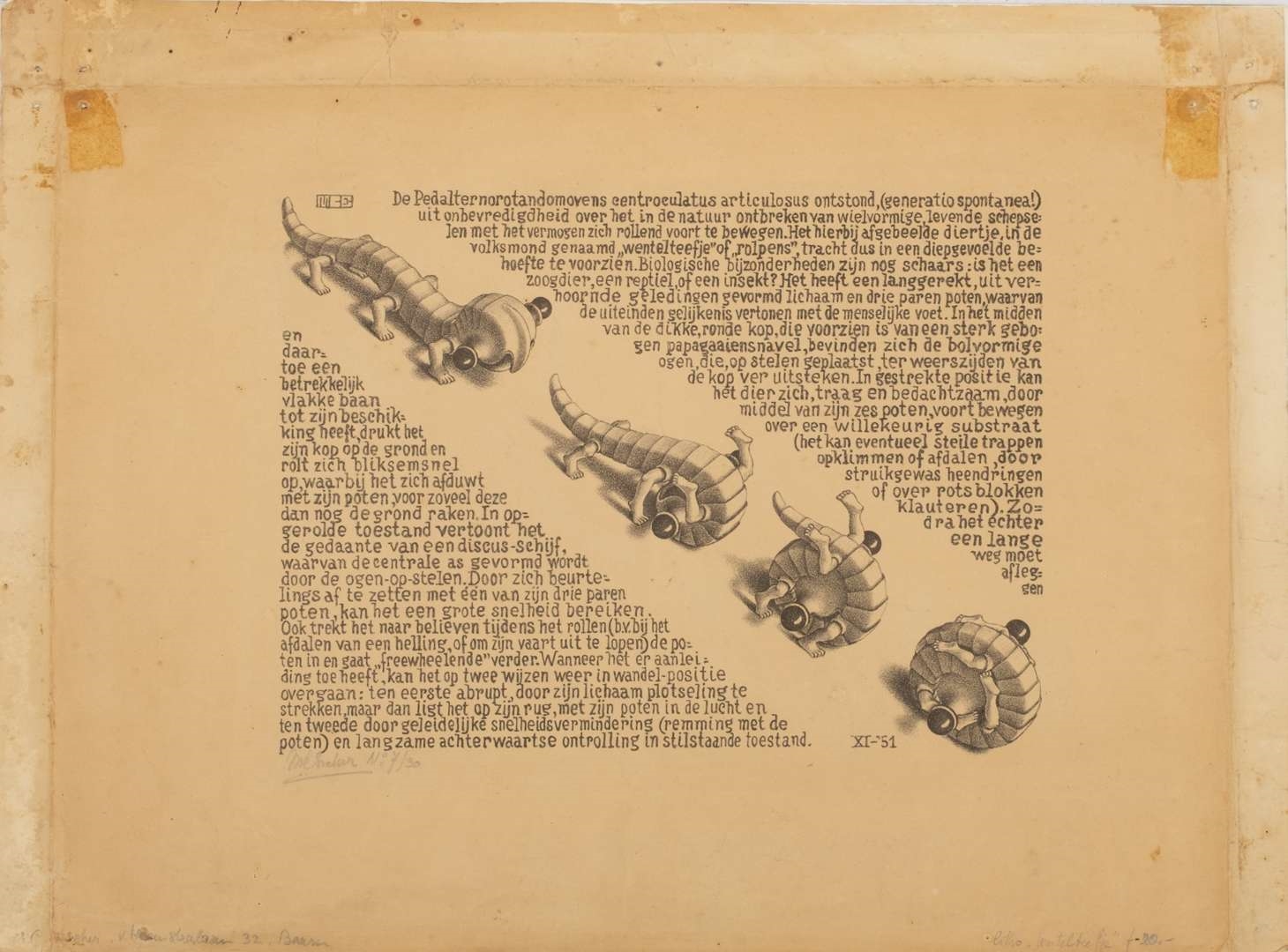 Artwork by Maurits Cornelis Escher, Wentelteefjes, Made of lithograph