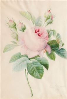 Hydrangea branch - Andree-Emma-Felicite Desportes De La Fosse