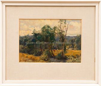 Stromy v lukách - Josef Procházka