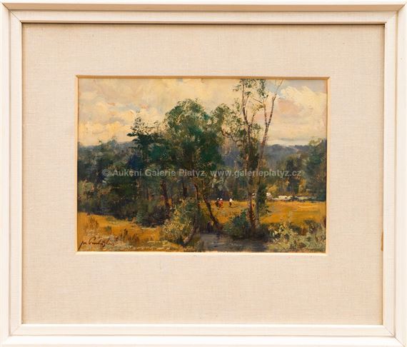 Stromy v lukách - Josef Procházka