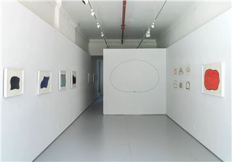 Victoria Haven: Under The Net: When Atmosphere Becomes Form - Planthouse