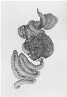 Nadège David: We Ate The Forest - Galerie Quynh