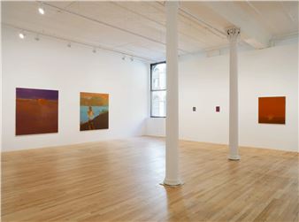 Christine Safa: These are the days I (have) love(d) - Bortolami (39 Walker)