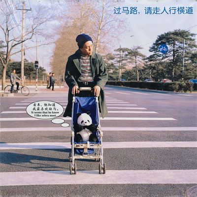 Zhao Bandi and Zhao Bandi’s Panda II - Zhao Bandi