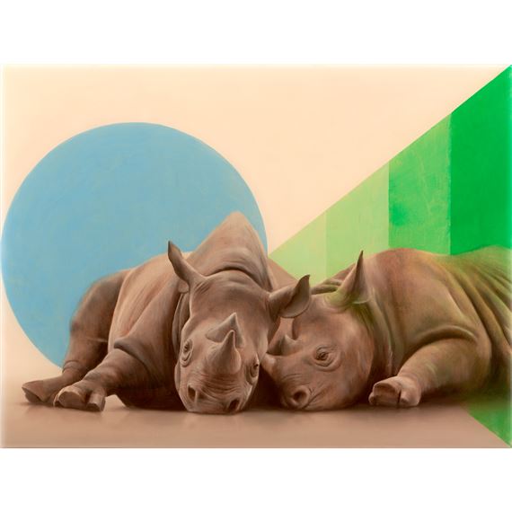 Large Diagram for Rhinoceros - Sam Leach