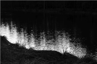 Anna Szprynger: Paintings And Photographs - Galerie Springer Berlin