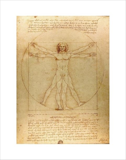. Vitruvian Man - Leonardo da Vinci