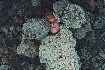 Environmental Introspection