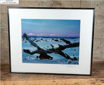 WINTER AT LAVA LANDS - Charles A. Blakeslee