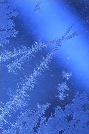 Criologia XII - Gabriel Esteban Molina