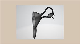 Smita Sen: Embodied - Museum of Contemporary Art (MOCA), North Miami